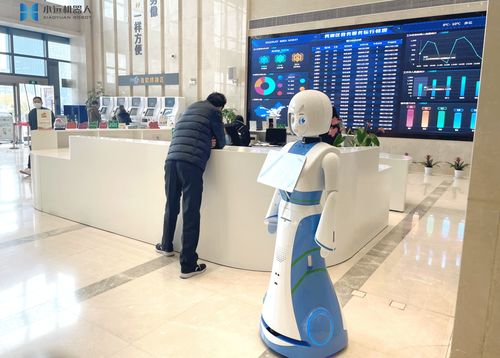 小遠上崗 嘉興秀洲政務(wù)服務(wù)中心的互聯(lián)網(wǎng)信息服務(wù)新篇章